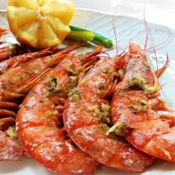 Hosteleiapp Foto Plato